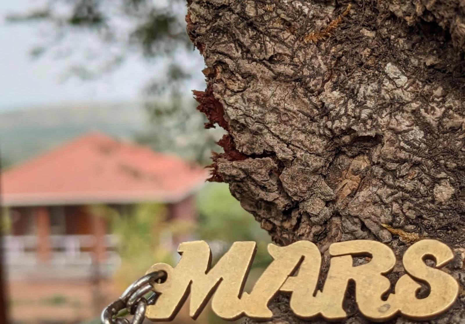 הוילה Narsinge Mars Jungle Adventure Stud Farm With Private Jacuzzi מראה חיצוני תמונה